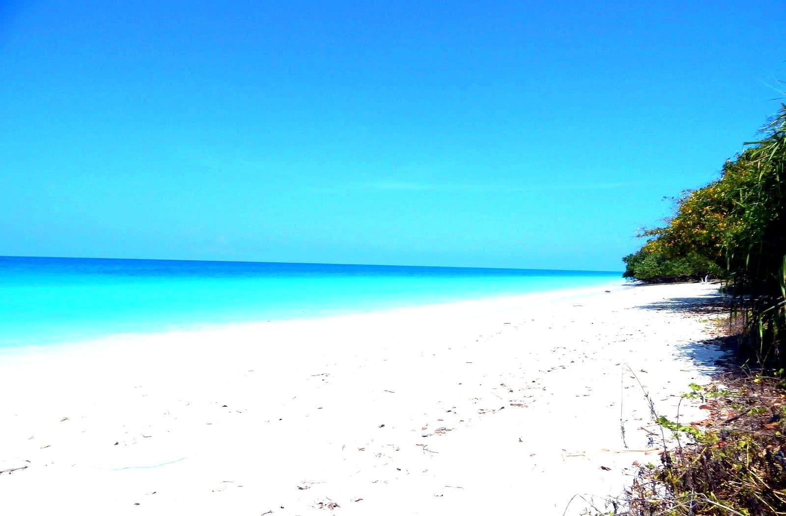 White sand beach and turquoise water at Radhanagar, Havelock Island